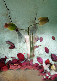 ����֮������������