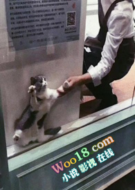 ƷŮ˵˫