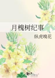 Ⱦ֮