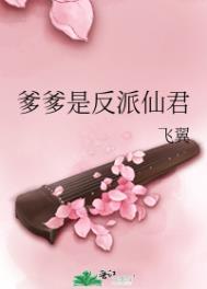 Ǽʵڶ