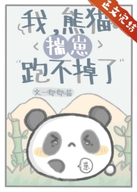 ޲Żһʱͷϲ