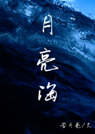 ˾