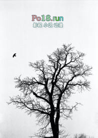 �㷢�����֟�