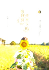 ӵΣռ飨SM