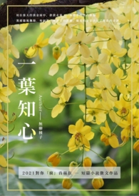 ˫