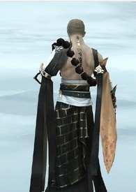(HP)ʽ