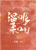 ˫
