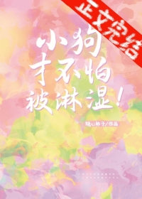 ֮˫