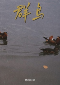 Ⱥ۰Χ