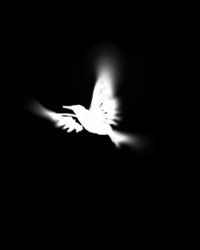 �Ҹ���ΰ���