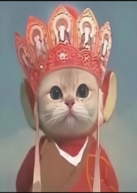 ͵������