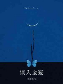 ��˵��������