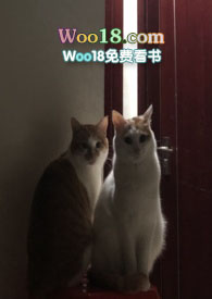 㡫ǽ