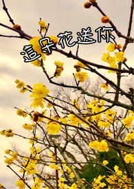 --ִ 