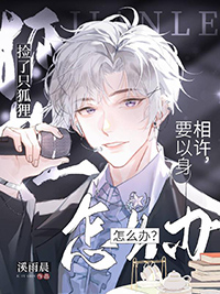 ��װ�����������