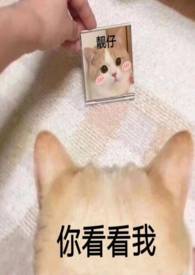 ޣеľϲᣩ