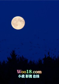 ƽ��������ƽ������