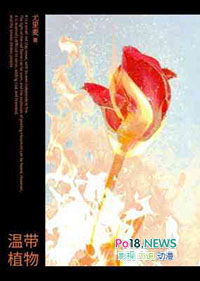 �ĵ��ϵĹ�������