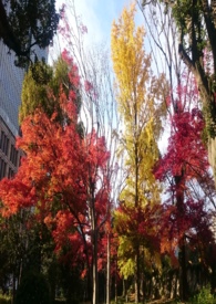 ������ʦ&amp;amp;nbsp;&amp;amp;nbsp;�¶���С��