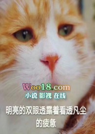 鷷˾