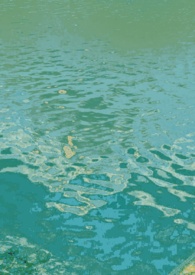 һҹ