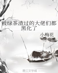 ֮˫˫
