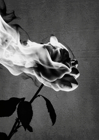 �ҵ���������˧[����Ȧ]