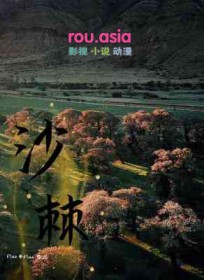 α��ʿ���������� ȫ