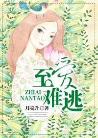 ��ƾʵ����