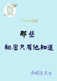 踹ڵ