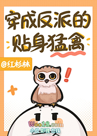 ��������֮������