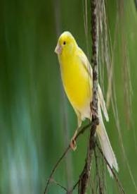 ���귭��֮��¥����