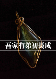 ����ϸ�壨1V1 H��