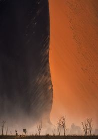 ղƻ