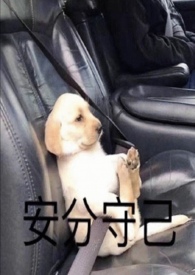 ���ޣ���֬ƪ��