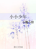 ʦָ
