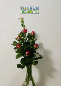[Ӱ]һHE