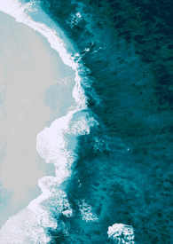 �����������ѧ