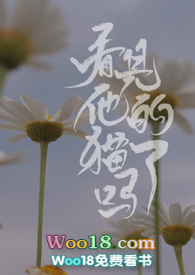 【法兰克福】我的天堂之城!我的绿帽之都 【法兰克福】我的天堂之城!我的绿帽之都