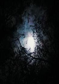 Ʀ;֮