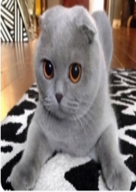 ���ҹ�͢���ؿ�ζС���¡�