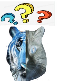 []ÿ춼ڻ