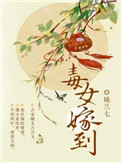 ʳϵ