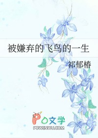 âͣ棩