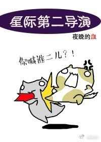 �ص�˽��ǰҹ