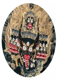 ����֮���Żʺ�