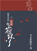 һ磺½٣޶
