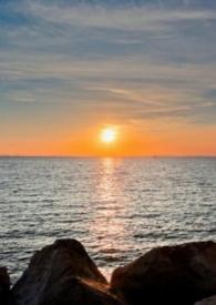 ��������������