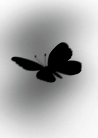 ˫
