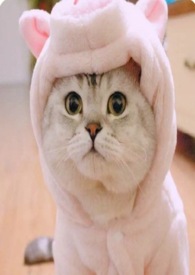 ʽ